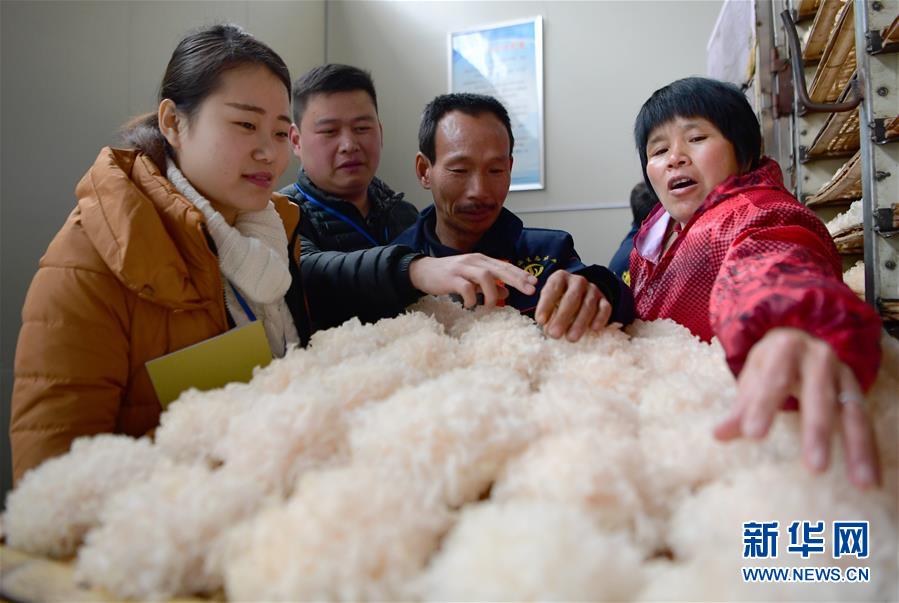 （社会）福建宁德：为精准扶贫提供纪律保障