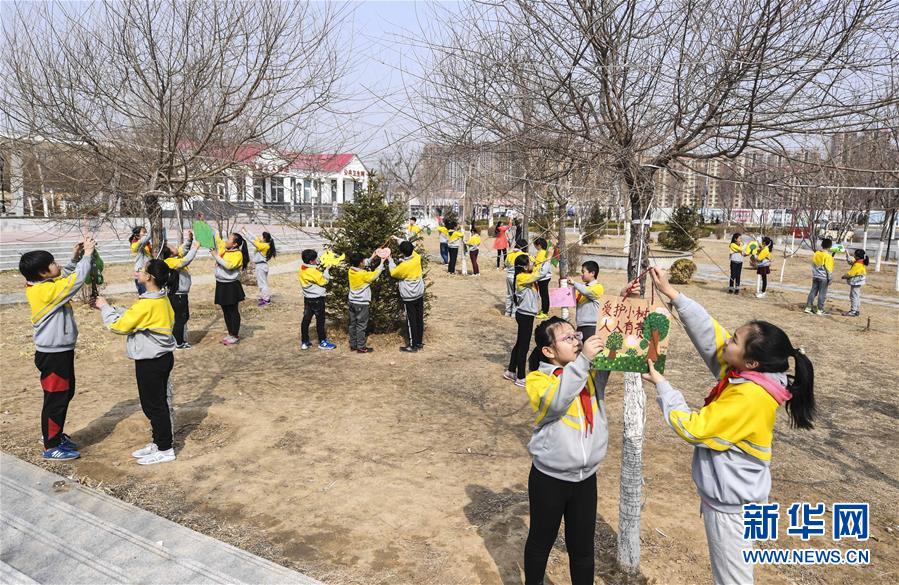 （环境）（2）世界森林日：植树护绿在行动