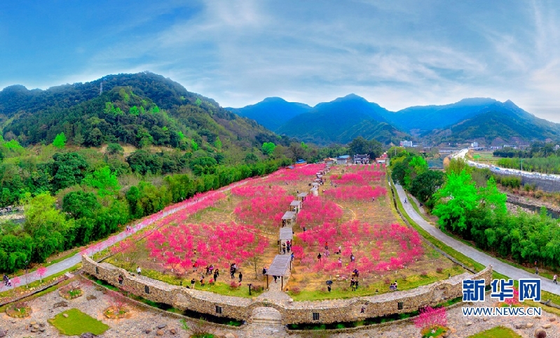 德化桃花岛图片